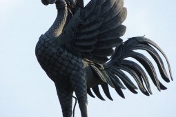 Phoenix at Ginkakuji Temple